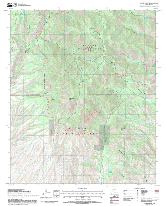 2025 Forest Service Topo Map of Vicks Peak New Mexico
