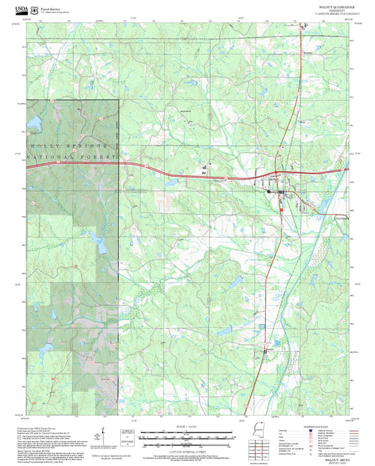 2025 Forest Service Topo Map of Walnut Mississippi