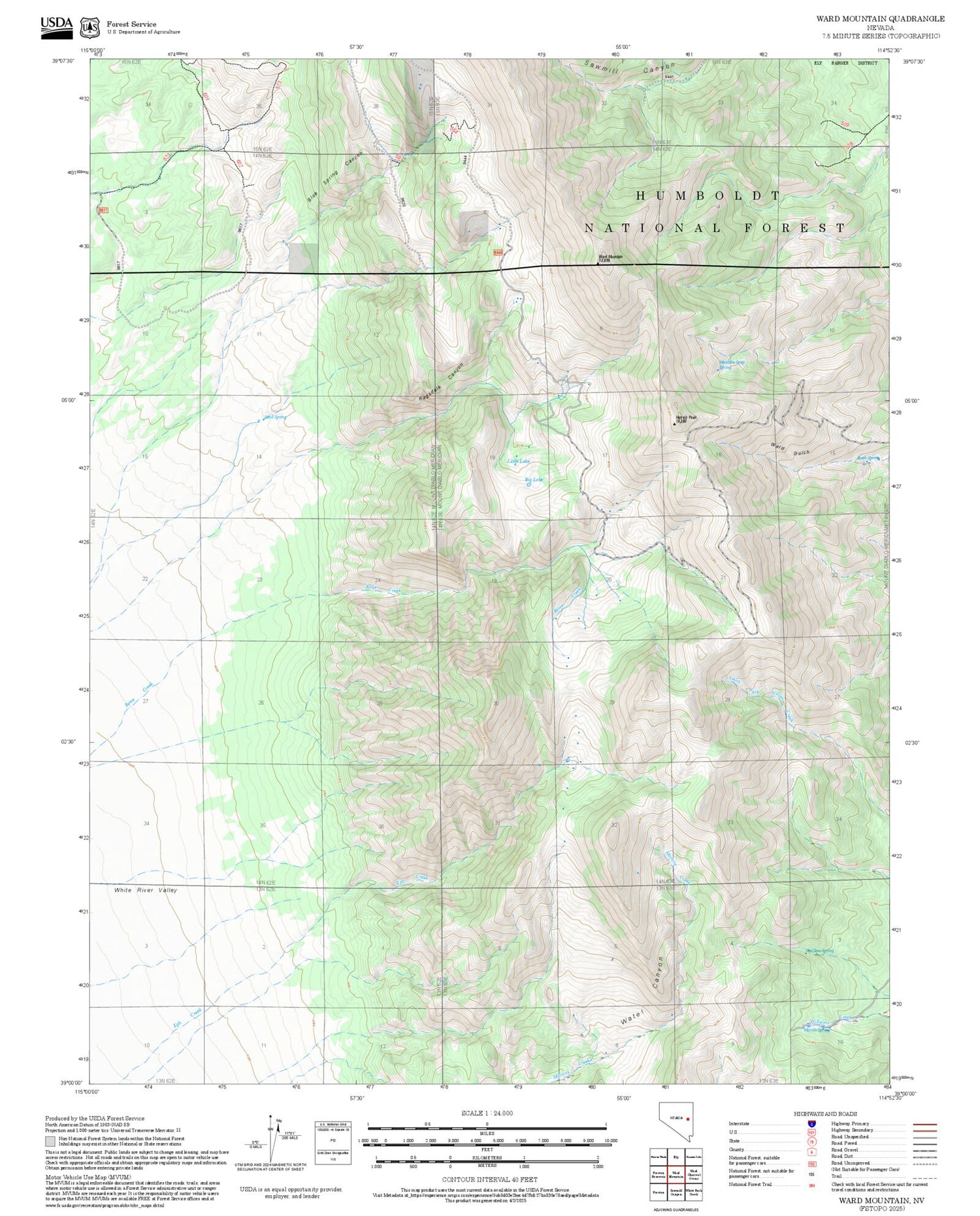 2025 Forest Service Topo Map of Ward Mountain Nevada