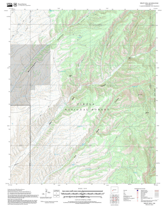 2025 Forest Service Topo Map of Welty Hill New Mexico