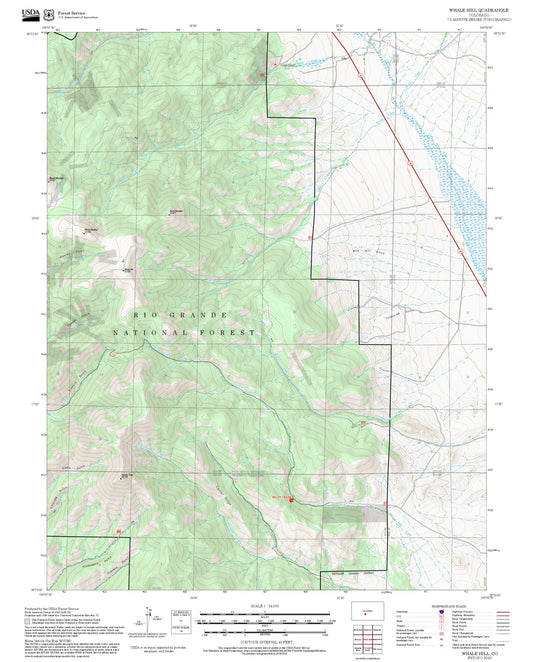 2025 Forest Service Topo Map of Whale Hill Colorado
