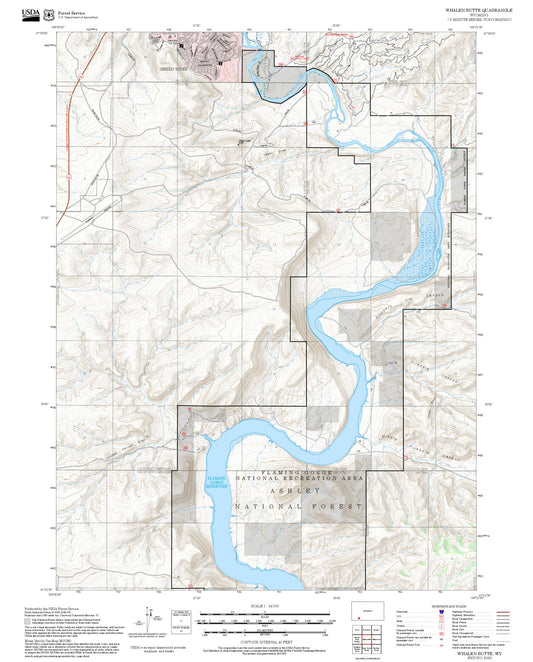 2025 Forest Service Topo Map of Whalen Butte Wyoming