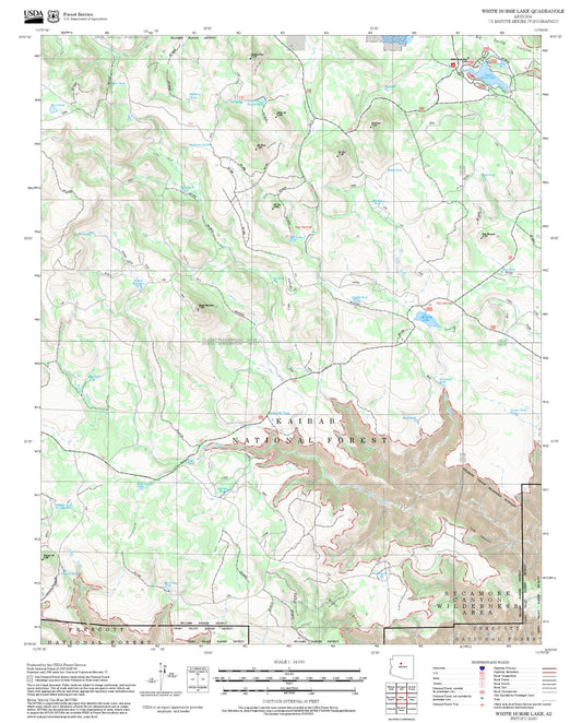 2025 Forest Service Topo Map of White Horse Lake Arizona