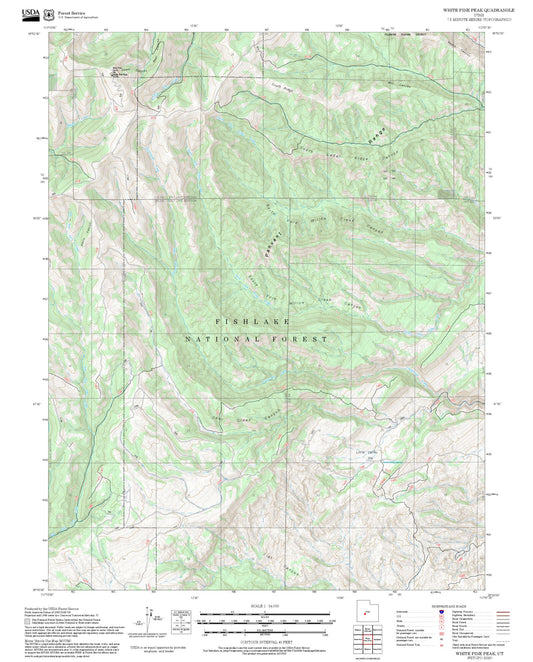 2025 Forest Service Topo Map of White Pine Peak Utah