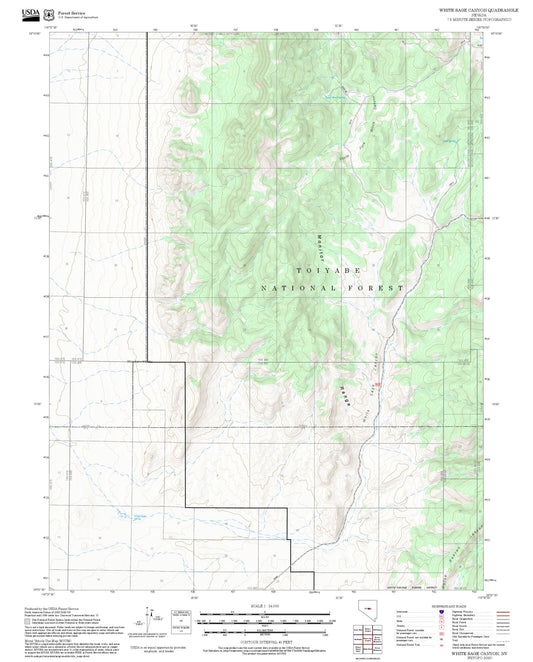2025 Forest Service Topo Map of White Sage Canyon Nevada