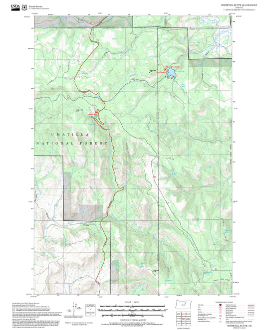 2025 Forest Service Topo Map of Whitetail Butte Oregon