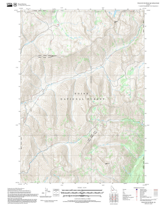 2025 Forest Service Topo Map of Wild Buck Peak Idaho