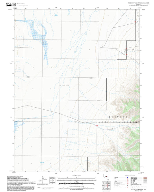 2025 Forest Service Topo Map of Wildcat Peak NW Nevada