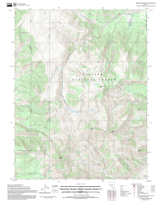 2025 Forest Service Topo Map of Wildcat Peak Nevada