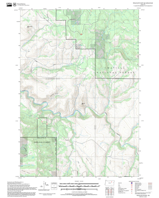 2025 Forest Service Topo Map of Wildcat Point Oregon