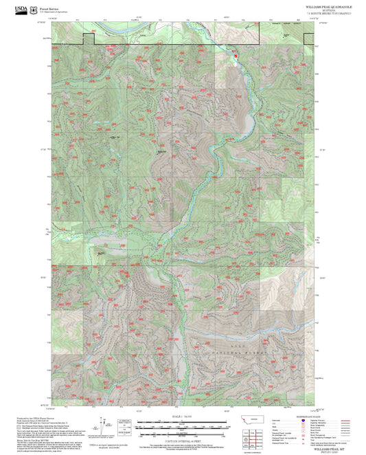 2025 Forest Service Topo Map of Williams Peak Montana