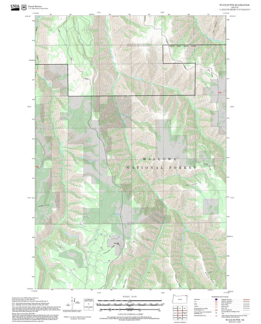 2025 Forest Service Topo Map of Wood Butte Oregon