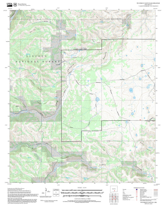 2025 Forest Service Topo Map of Woodson Canyon New Mexico