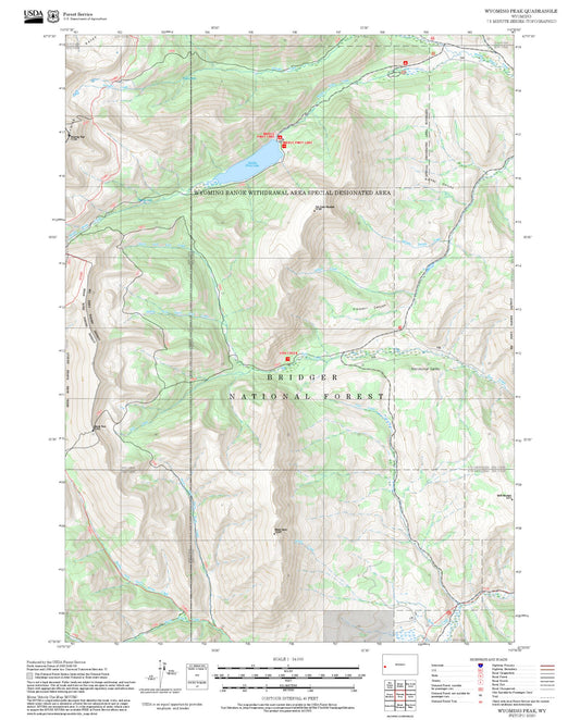 2025 Forest Service Topo Map of Wyoming Peak Wyoming