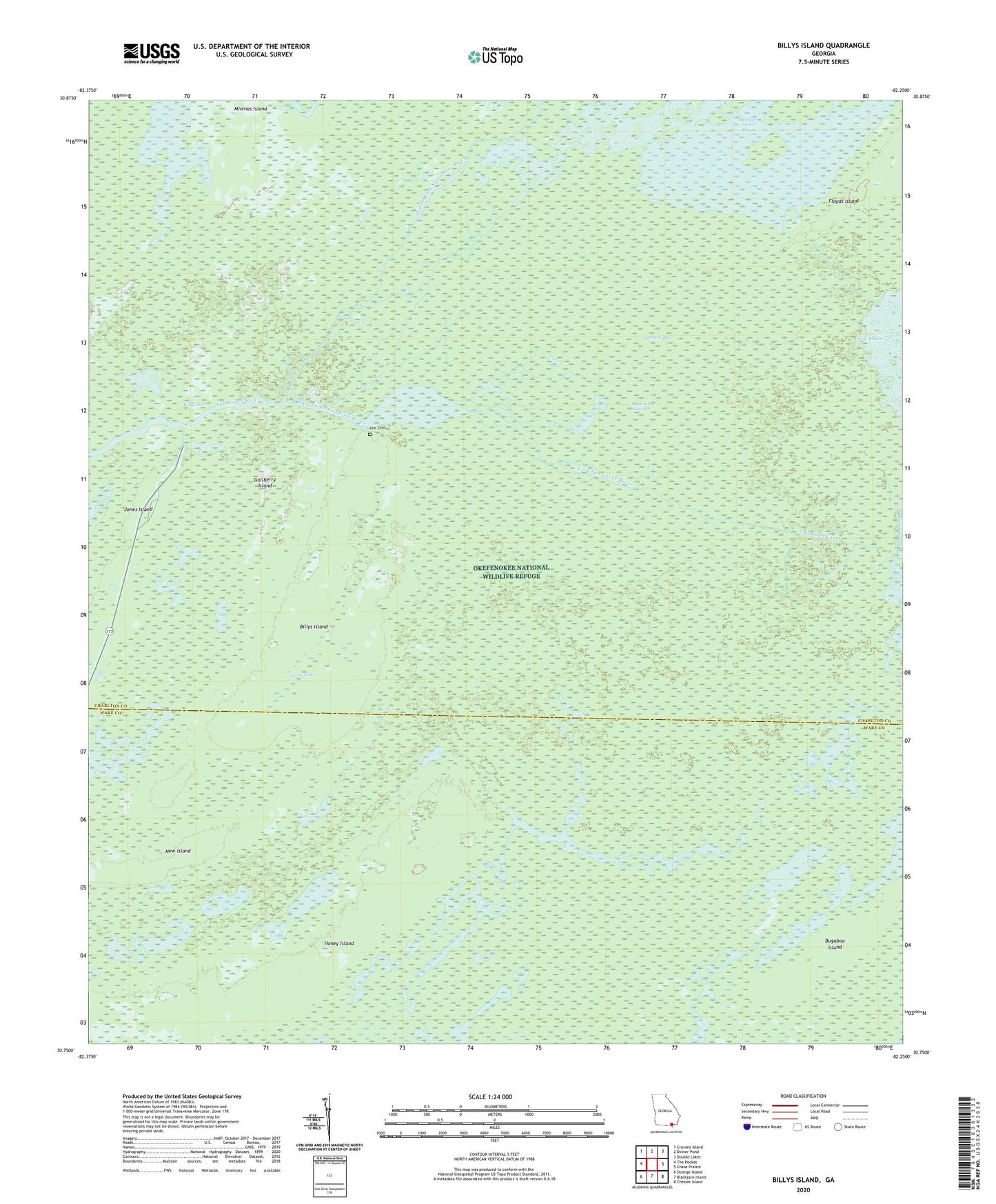 Billys Island Georgia US Topo Map Image