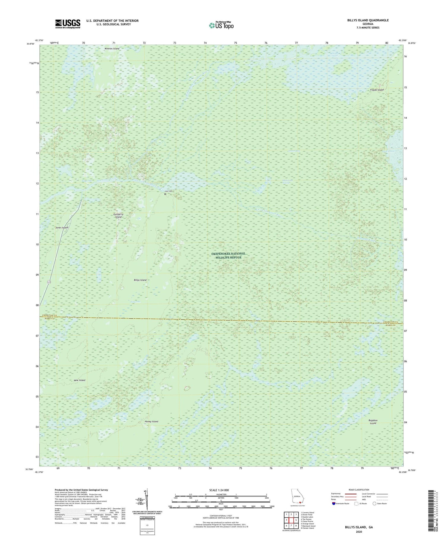 Billys Island Georgia US Topo Map Image