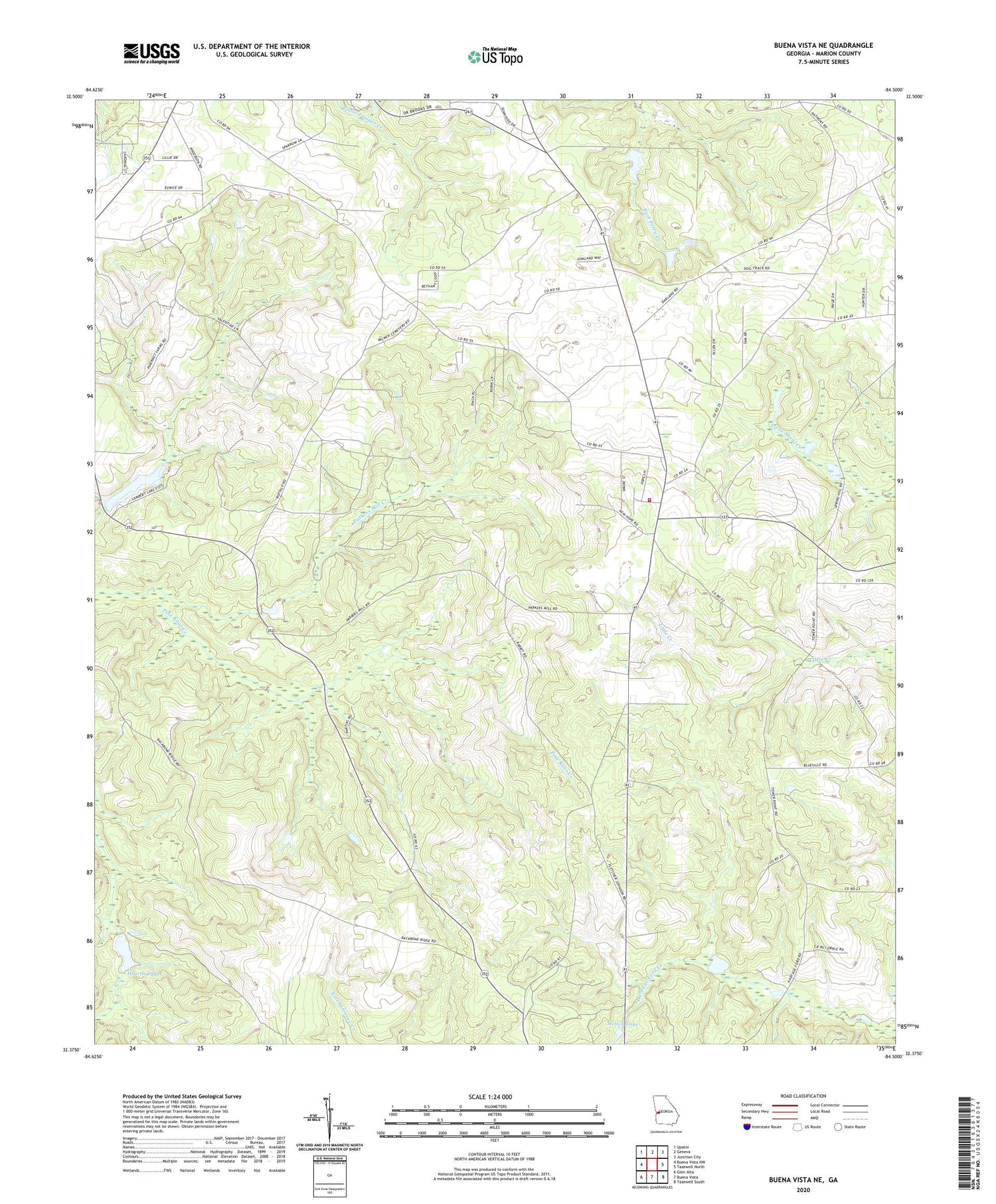 Buena Vista NE Georgia US Topo Map Image