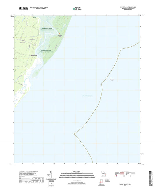 Cabretta Inlet Georgia US Topo Map Image