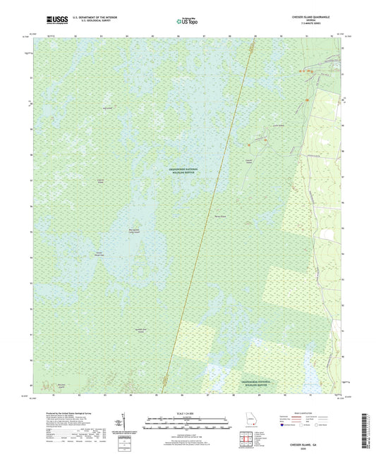 Chesser Island Georgia US Topo Map Image