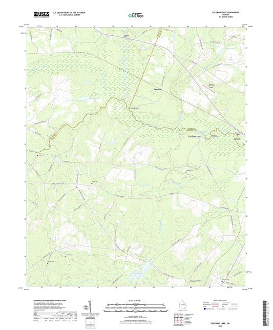 Colemans Lake Georgia US Topo Map Image