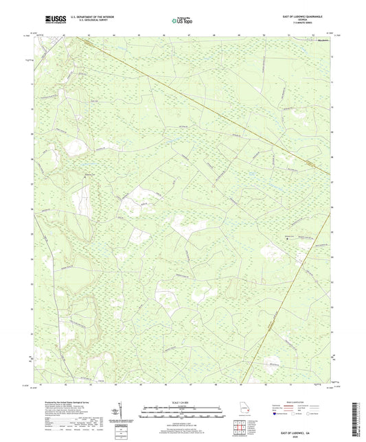 East of Ludowici Georgia US Topo Map Image