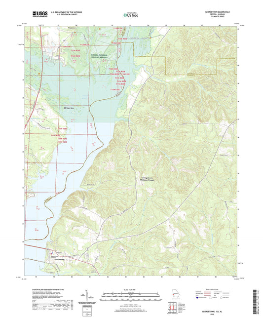 Georgetown Georgia US Topo Map Image