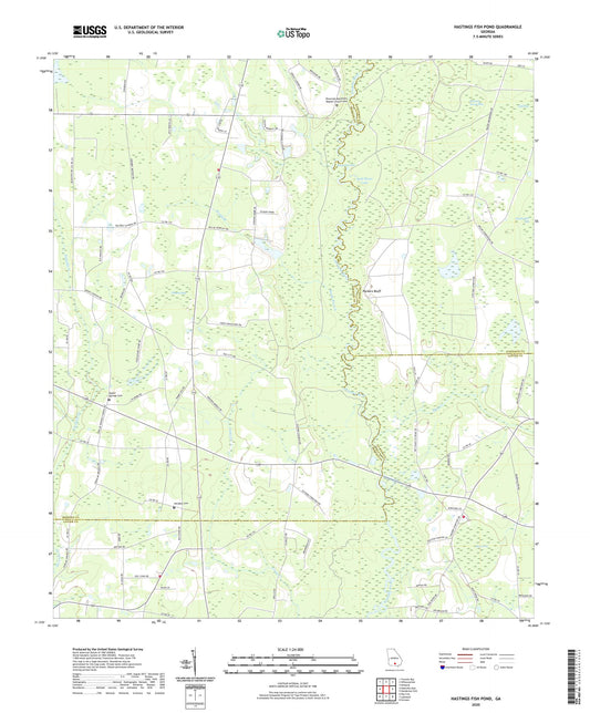 Hastings Fish Pond Georgia US Topo Map Image