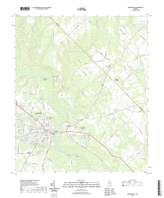 Hawkinsville Georgia US Topo Map Image