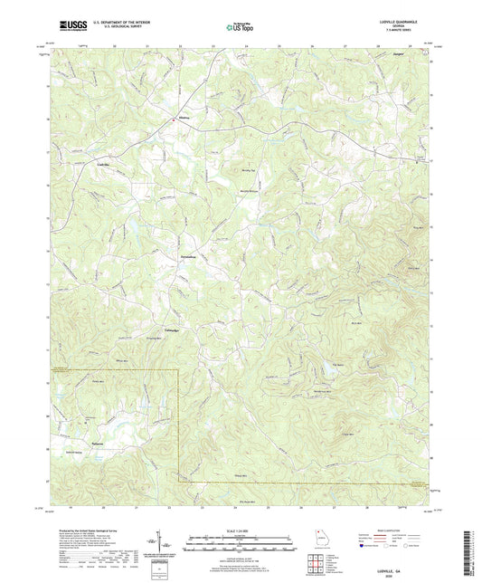 Ludville Georgia US Topo Map Image