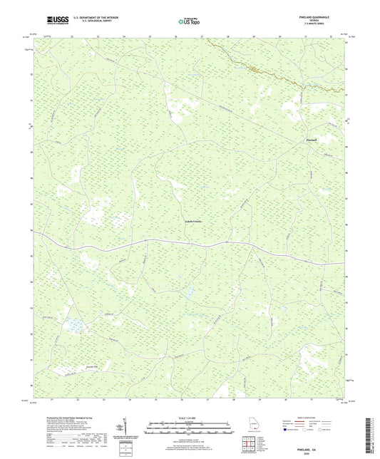 Pineland Georgia US Topo Map Image