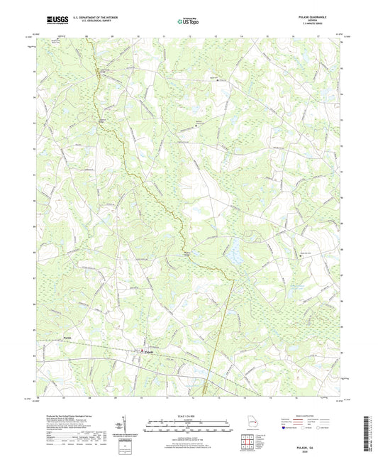 Pulaski Georgia US Topo Map Image