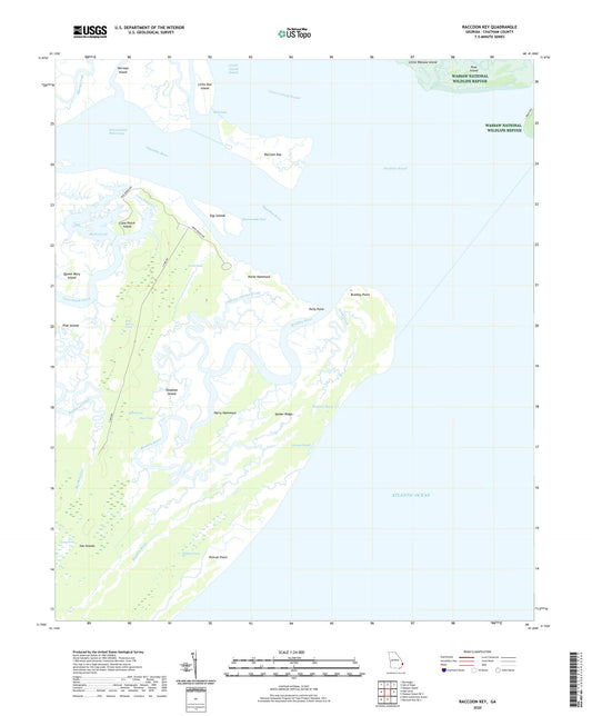 Raccoon Key Georgia US Topo Map Image
