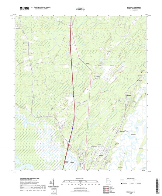 Ridgeville Georgia US Topo Map Image