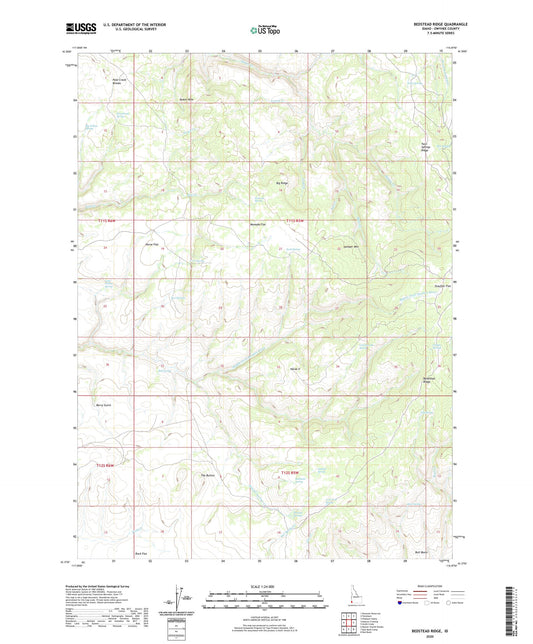 Bedstead Ridge Idaho US Topo Map Image