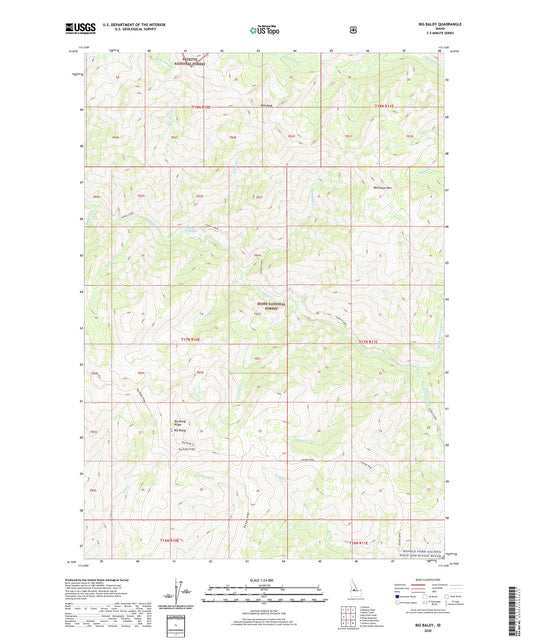 Big Baldy Idaho US Topo Map Image