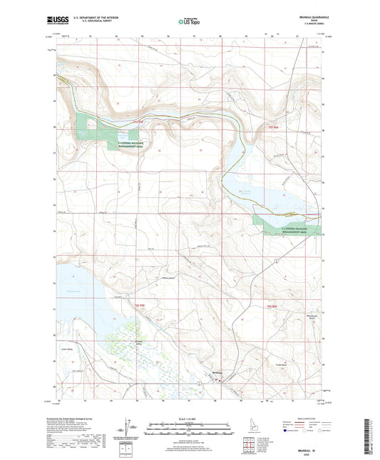 Bruneau Idaho US Topo Map Image