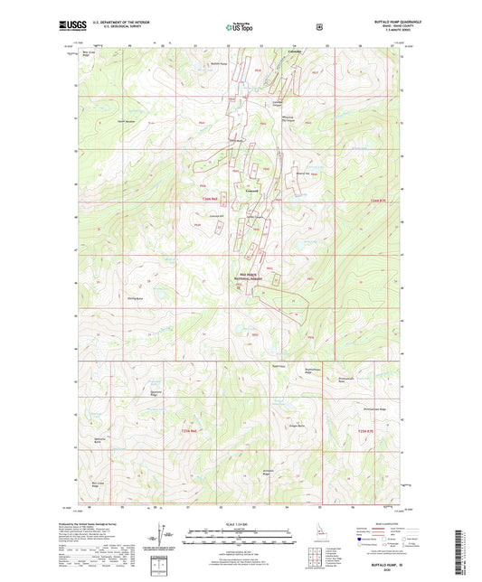 Buffalo Hump Idaho US Topo Map Image