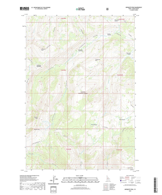 Mosquito Peak Idaho US Topo Map Image