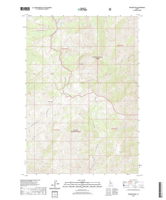 Papoose Peak Idaho US Topo Map Image