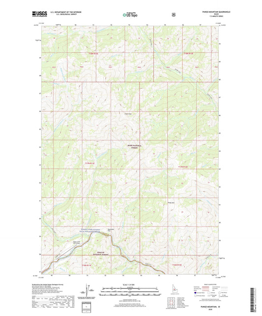 Pungo Mountain Idaho US Topo Map Image