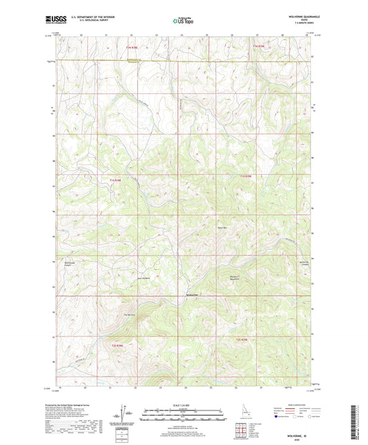 Wolverine Idaho US Topo Map Image