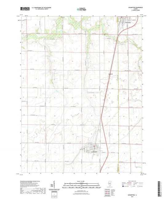 Assumption Illinois US Topo Map Image