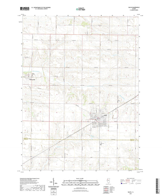 Galva Illinois US Topo Map Image