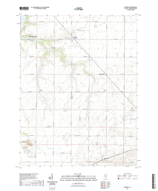 Owaneco Illinois US Topo Map Image