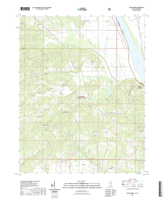 Saline Mines Illinois US Topo Map Image