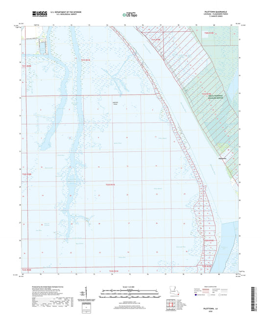 Pilottown Louisiana US Topo Map Image