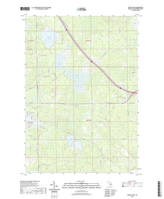 Backus Lake Michigan US Topo Map Image