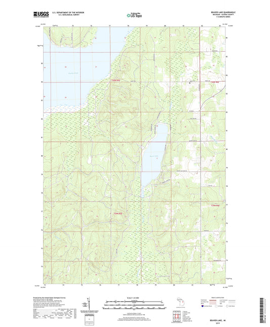 Beaver Lake Michigan US Topo Map Image