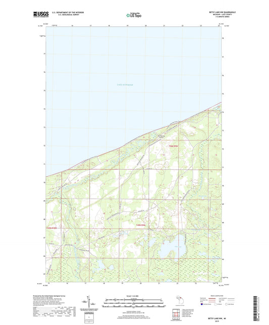 Betsy Lake NW Michigan US Topo Map Image