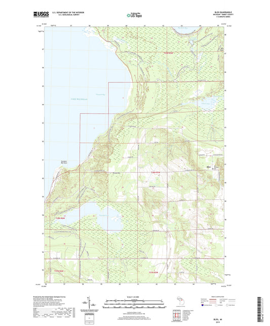 Bliss Michigan US Topo Map Image